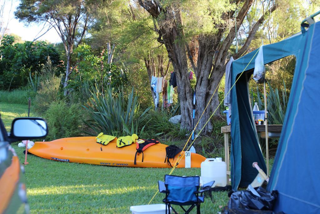 Russell-Orongo Bay Holiday Park מראה חיצוני תמונה