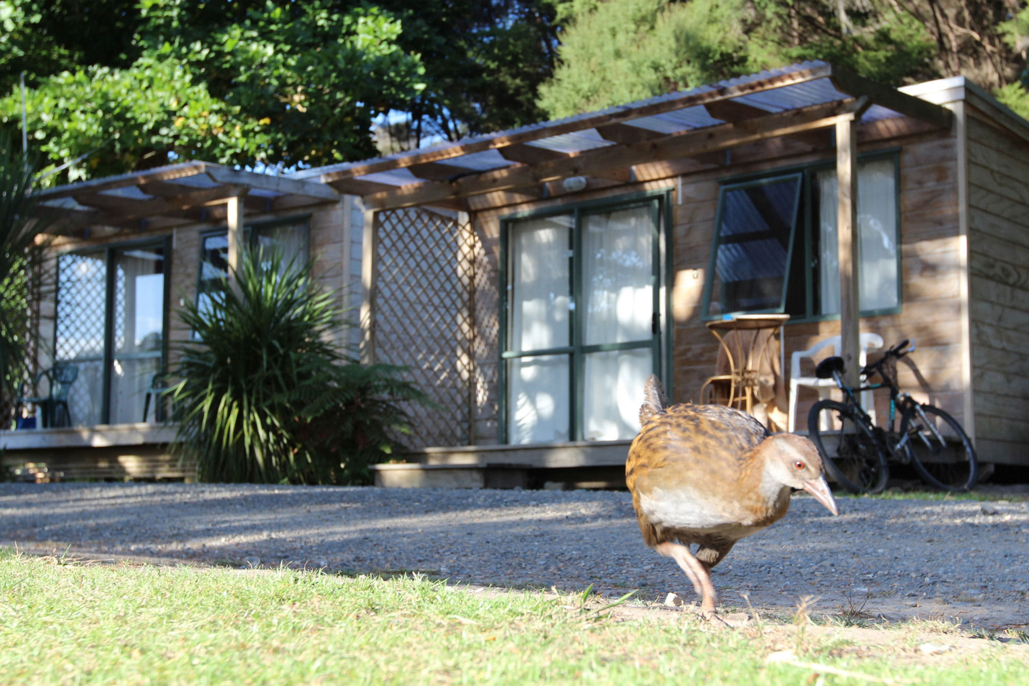 Russell-Orongo Bay Holiday Park מראה חיצוני תמונה